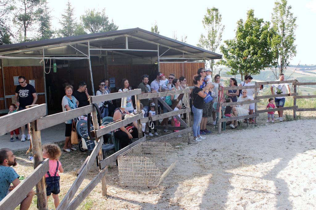 Tenuta Gran Bosco Loro Piceno Экстерьер фото