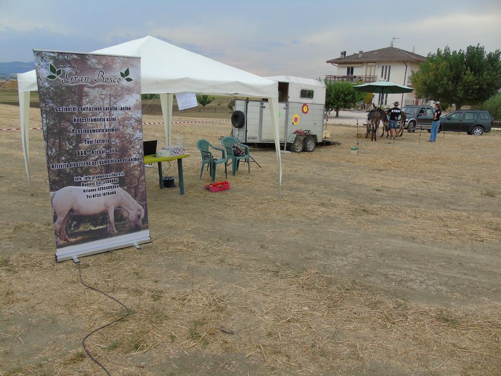 Tenuta Gran Bosco Loro Piceno Экстерьер фото