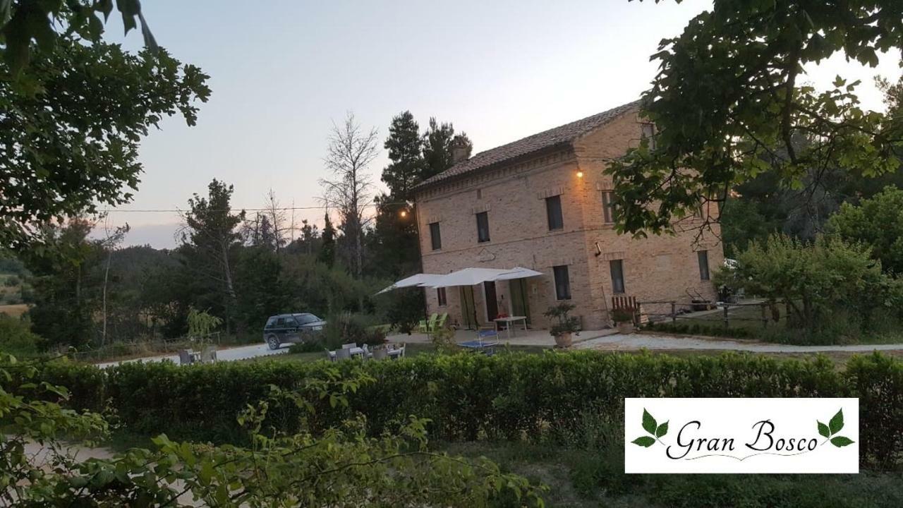 Tenuta Gran Bosco Loro Piceno Экстерьер фото
