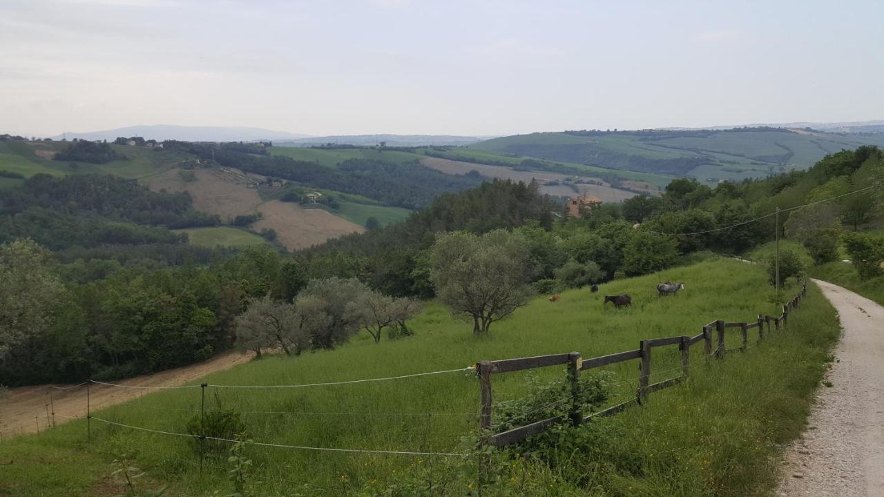 Tenuta Gran Bosco Loro Piceno Экстерьер фото